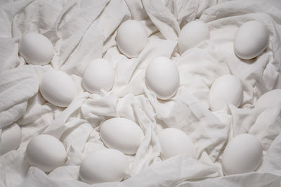 White chicken eggs on a white textile background