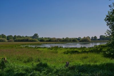 Scenic view of lake against clear sky