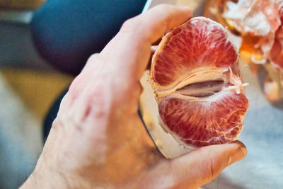 Close-up of hand holding fruit