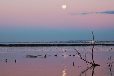 Scenic view of lake against sky during sunset
