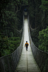 Rear view of man walking on footbridge in forest