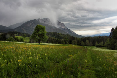 Scenic view of green landscape and mountains against sky