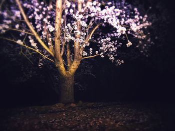 Close-up of water at night