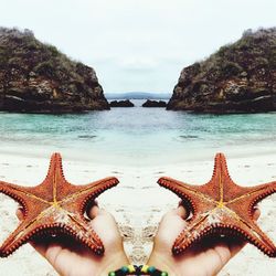 Cropped hands holding starfishes on beach against sky