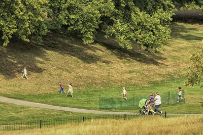 People on field against trees