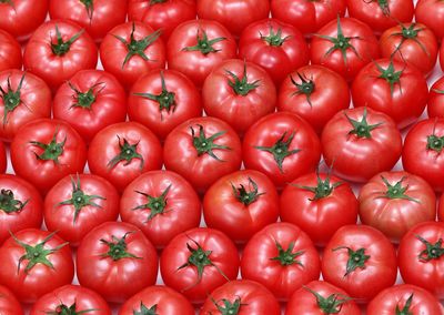 Full frame shot of red tomatoes