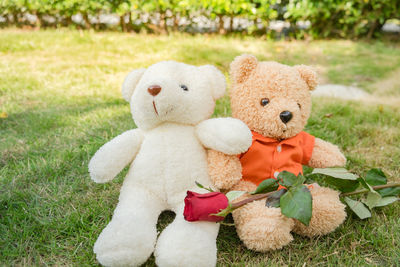 Teddy bear sitting on the garden with love and red roses symbolize valentine's day.