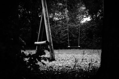 View of trees in the dark