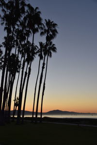 Silhouette palm trees on beach against clear sky at sunset