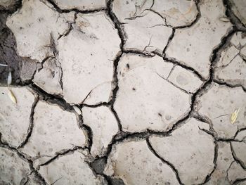 Full frame shot of cracked land