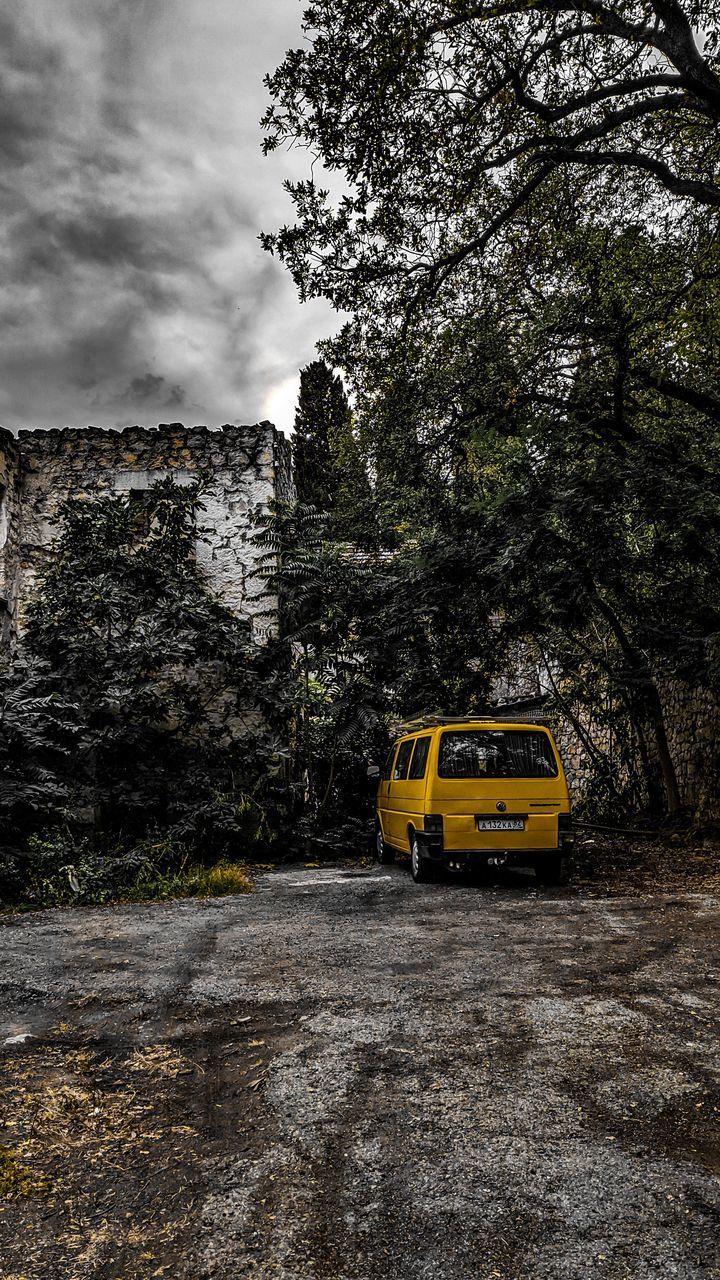 YELLOW CAR ON ROAD AMIDST TREES