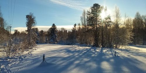 Trees on snow covered field against sky