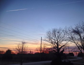 Silhouette of bare trees at sunset