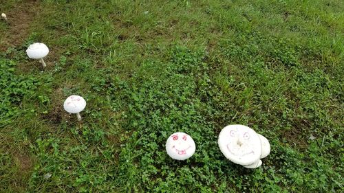 High angle view of balls on field