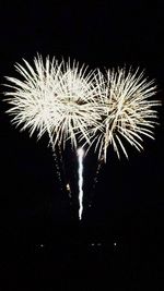 Low angle view of firework display at night