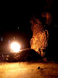 Close-up of illuminated fire in the dark