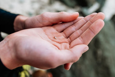 Close-up of hands holding leaf