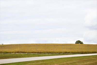 Scenic view of field against sky