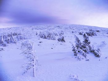 Scenic view of snow covered landscape against sky