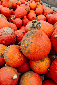 Full frame shot of pumpkins at market stall