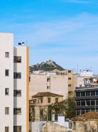 Buildings in city