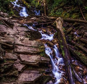 Scenic view of waterfall in forest