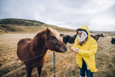 Pretty woman feeding a horse in iceland.