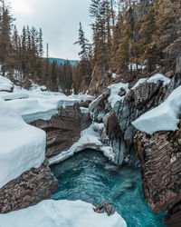 Scenic view of snow covered landscape