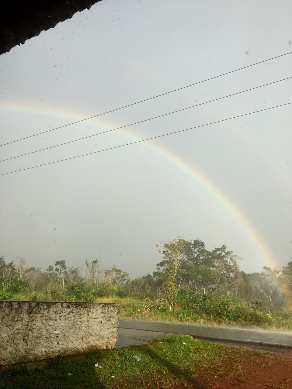 nature, rainbow, water, no people, beauty in nature, outdoors, day, double rainbow, scenics, sky, tree