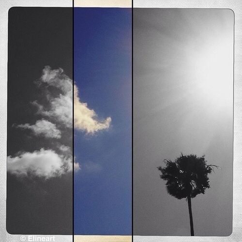 transfer print, auto post production filter, low angle view, sky, palm tree, tree, cloud - sky, nature, day, blue, cloud, sunlight, no people, outdoors, tranquility, beauty in nature, growth, cloudy, street light, scenics