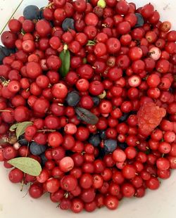 High angle view of strawberries