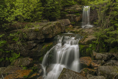 Scenic view of waterfall in forest