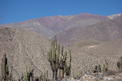 Scenic view of dramatic landscape against clear sky