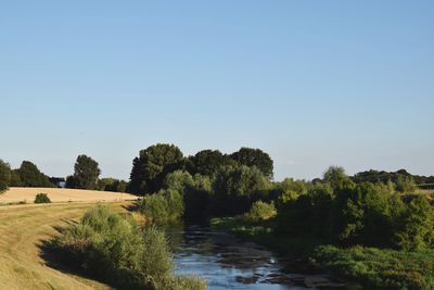 Scenic view of landscape against clear sky