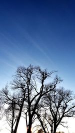 Low angle view of bare tree against clear blue sky