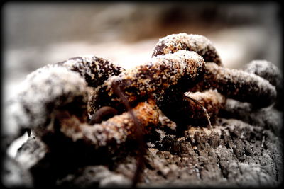 Close-up of rusty metal