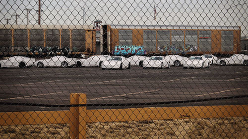 Graffiti on chainlink fence