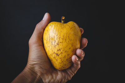 Close-up of hand holding apple against black background