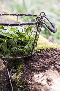 Close-up of wicker basket