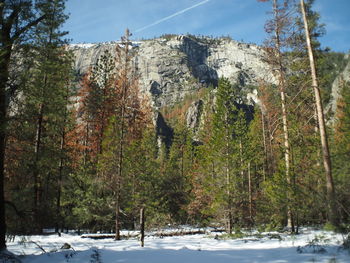 Scenic view of snow covered mountains