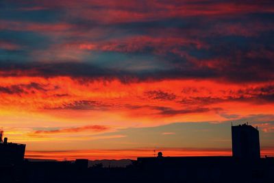 Silhouette of trees against dramatic sky