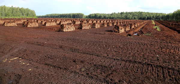 Scenic view of rural landscape