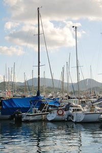 Sailboats moored in harbor