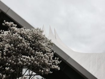 Low angle view of building against sky