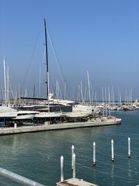 Sailboats moored at harbor