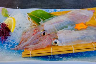 Close-up of fish on table