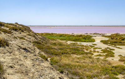 Scenic view of sea against clear sky