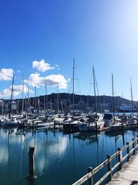 Sailboats moored at harbor against sky