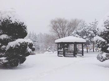 Snow covered landscape