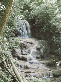 Scenic view of waterfall in forest